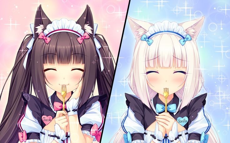 tiramisu ¹² tweet media