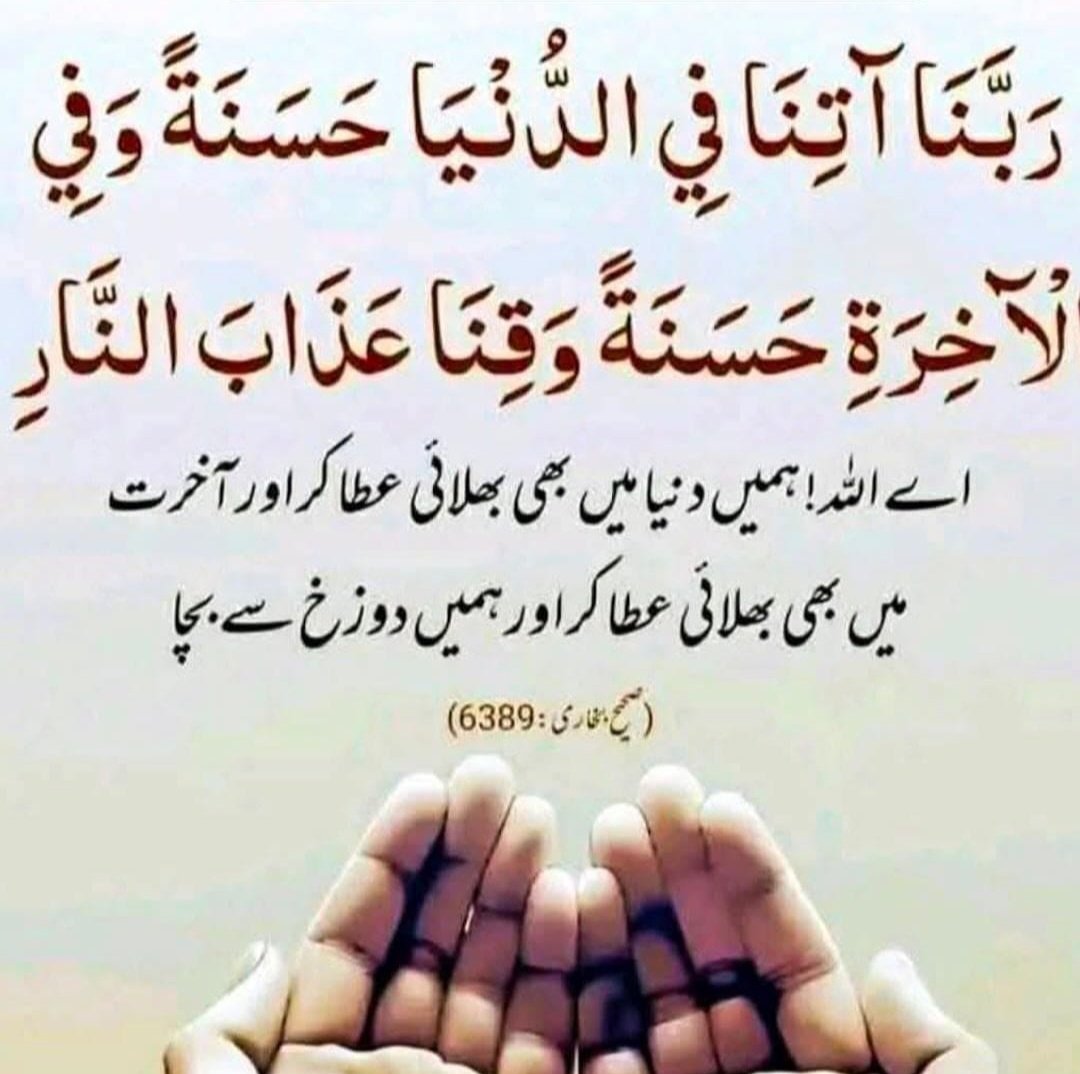 Zainab Fatima tweet media