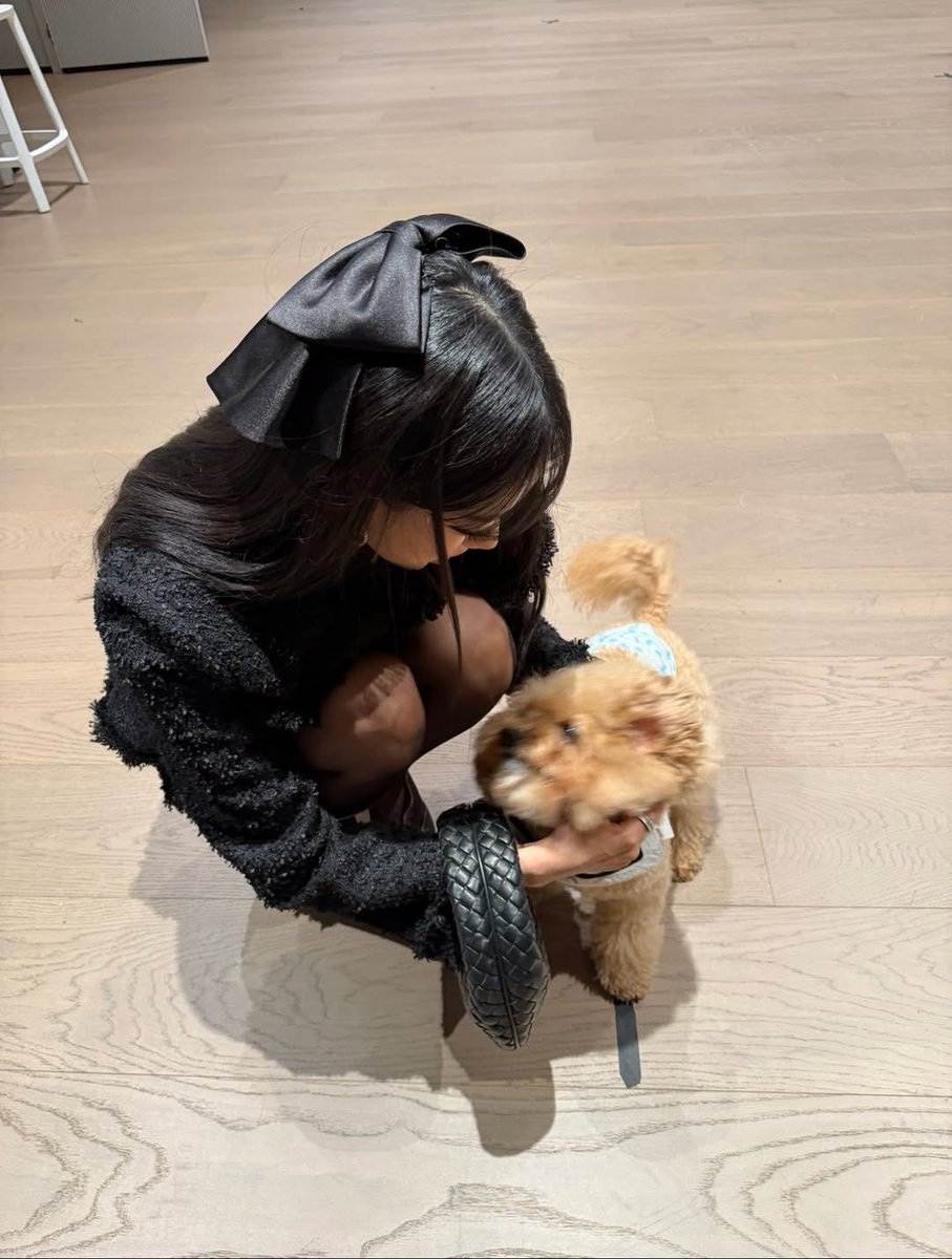 sooin pics tweet media