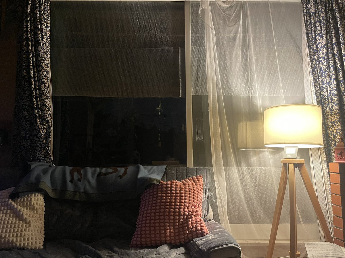 カーテンが閉められない季節が来た🦎

久しぶり！窓辺での狩の夜がはじまる。

#ヤモリ