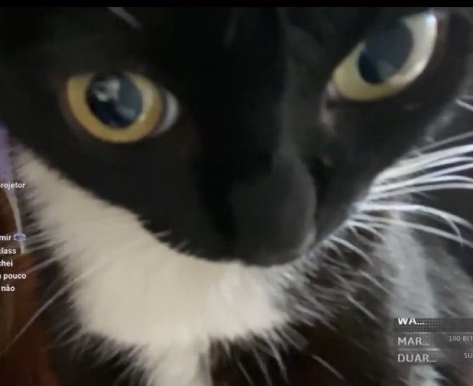 birisi adımızla başlayan mesaj atınca