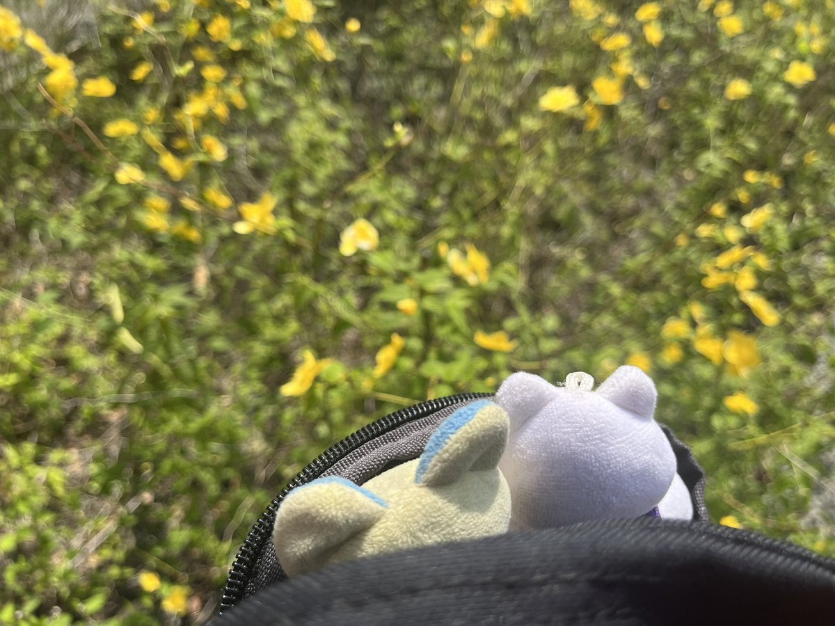 nerunerucuteu's tweet photo. https://t.co/llUqLGYwIU