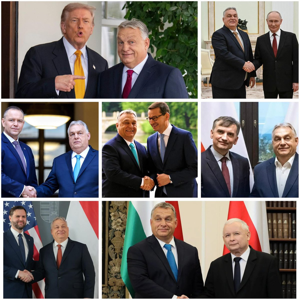 NowoczesnaDemokracja tweet media