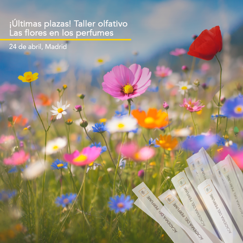 Academia del Perfume tweet media