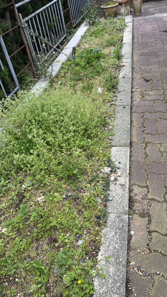 workout68kg→62kg tweet media