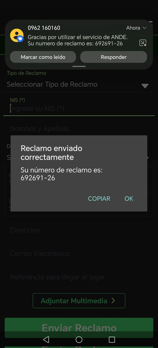 liz rebeca tweet media