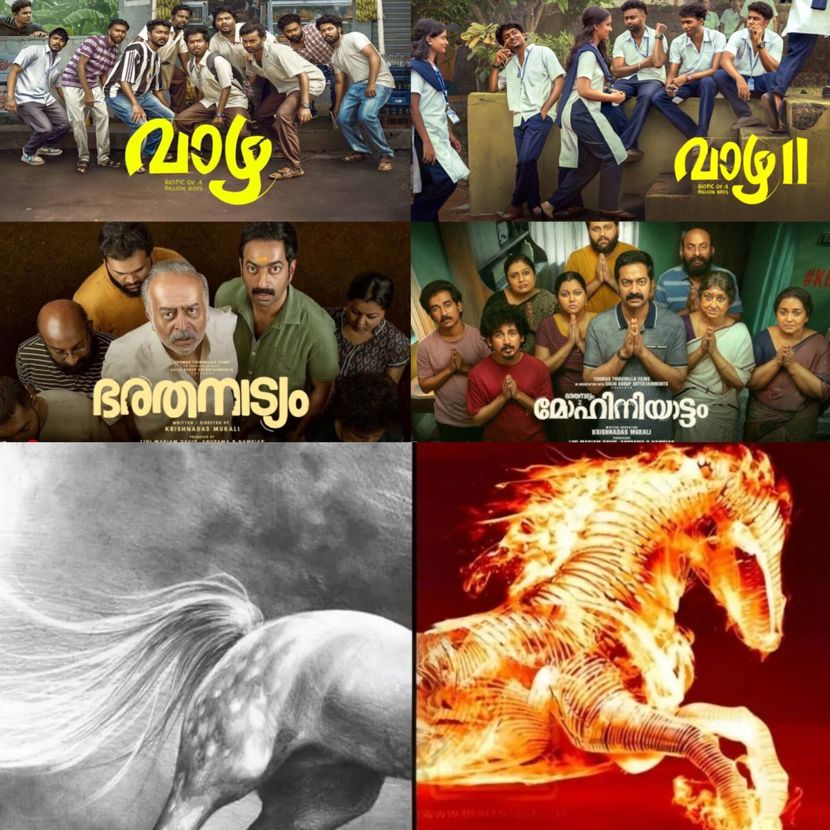 koreanoli tweet media