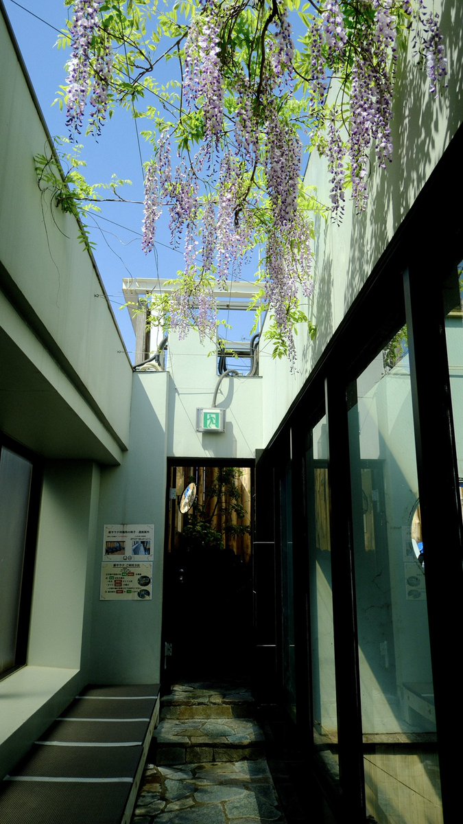 かるまる 池袋【公式】 tweet media