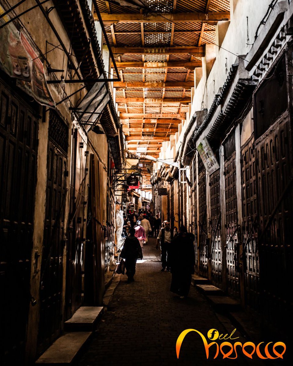 Feel Morocco tweet media