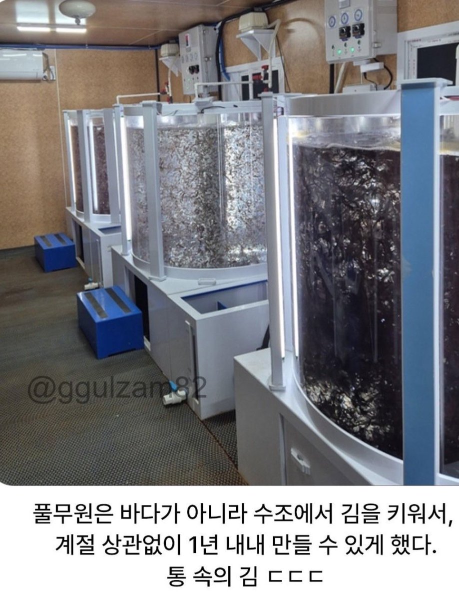 캣츠파파 tweet media