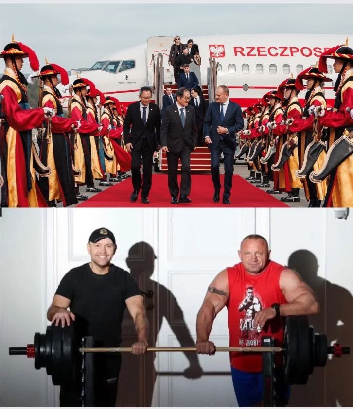 NowoczesnaDemokracja tweet media