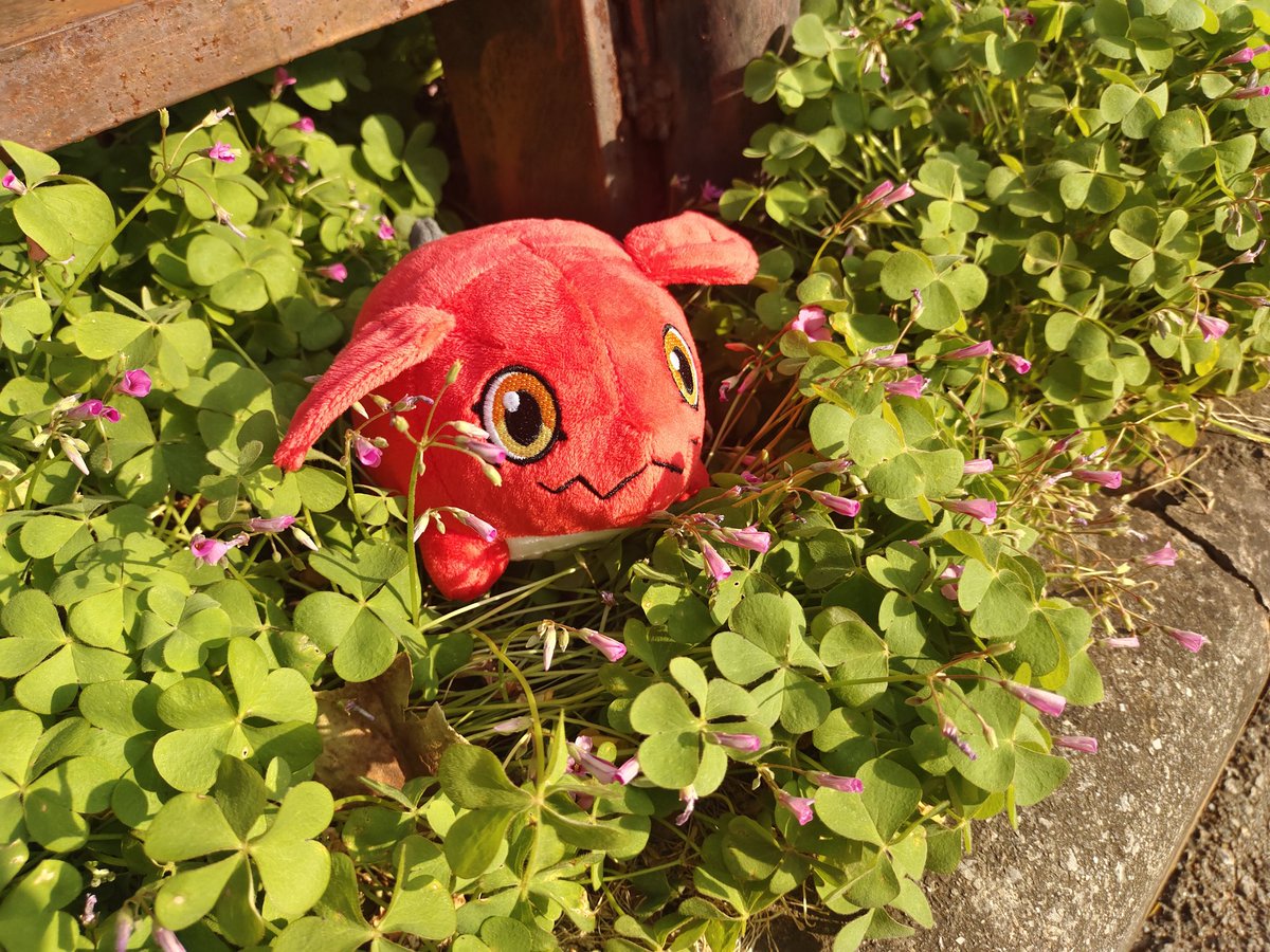 空_金💞 tweet media