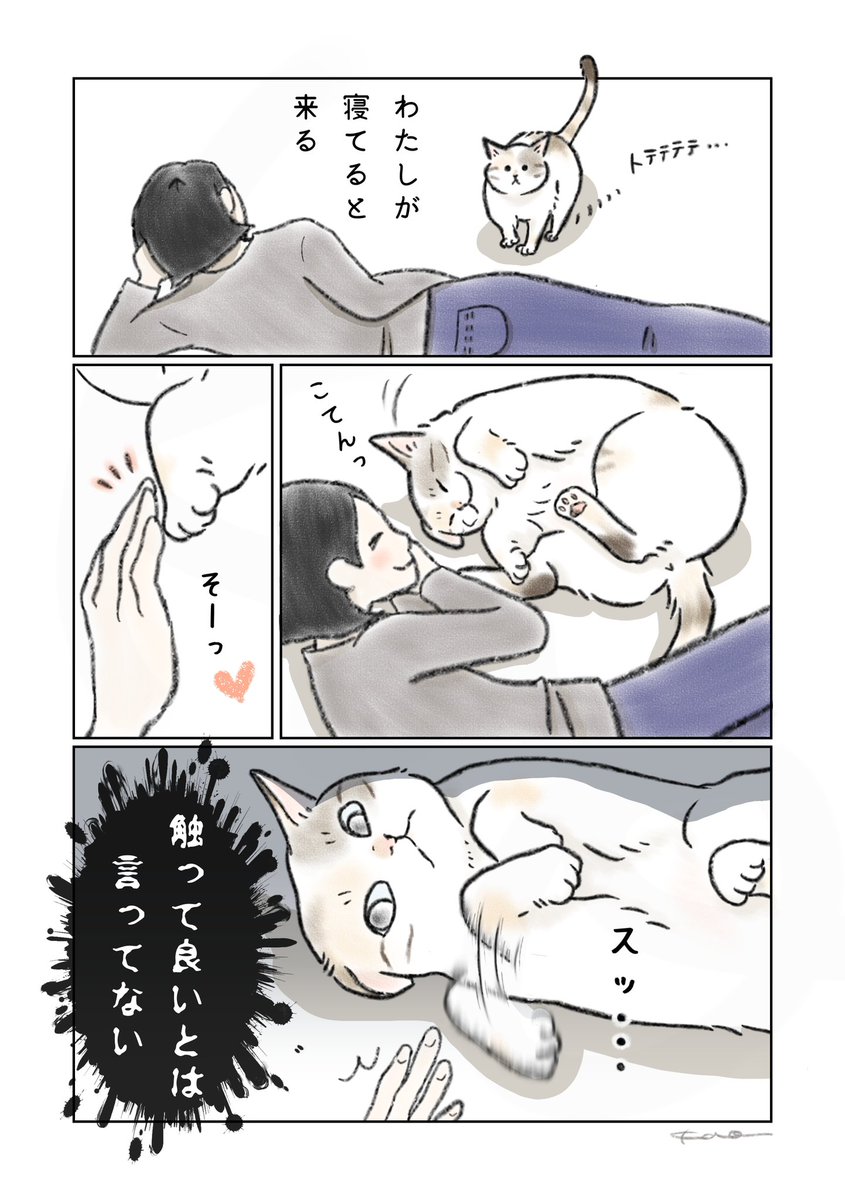 kaoru@LINEスタンプと漫画 tweet media