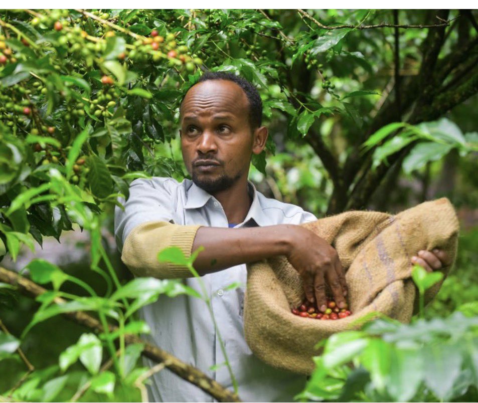 knowledge✍🏾 🌴🦒 tweet media