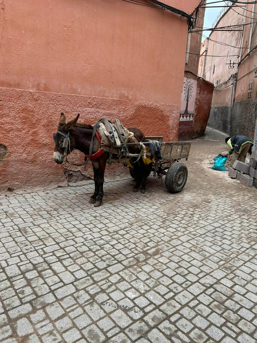 Alex Powell tweet media