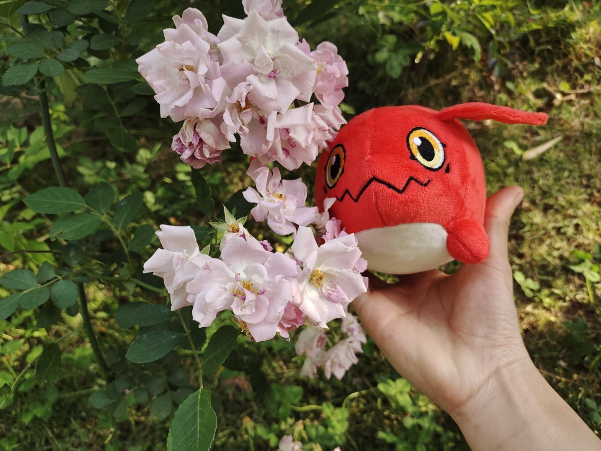 空_金💞 tweet media