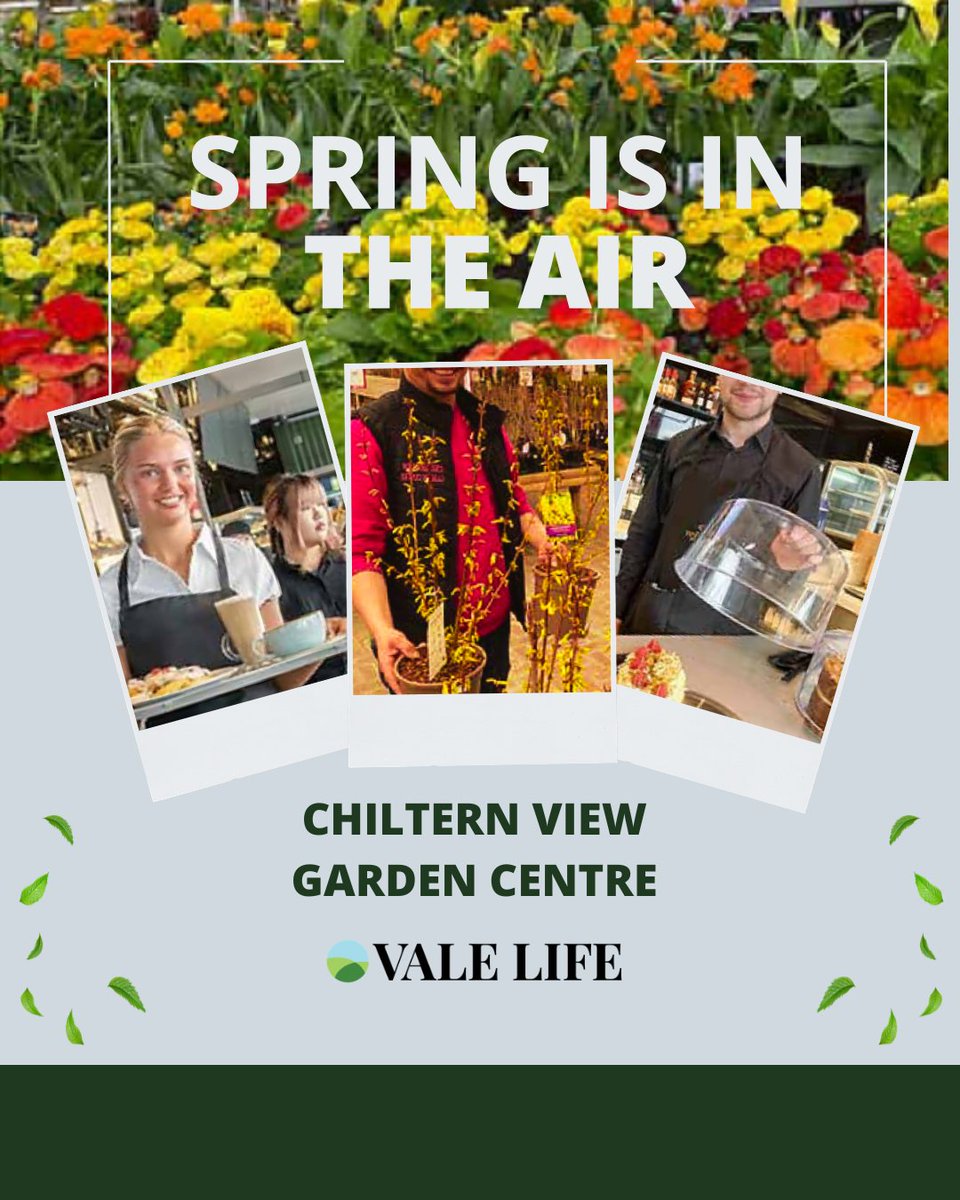 Vale Life Magazine tweet media