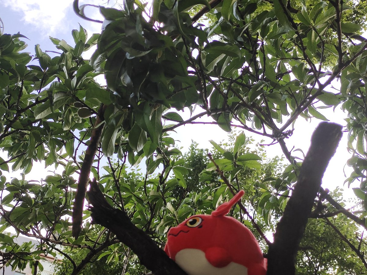 空_金💞 tweet media