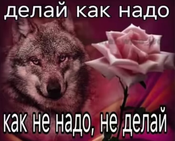 так грустно, что хочется курить⁷ tweet media