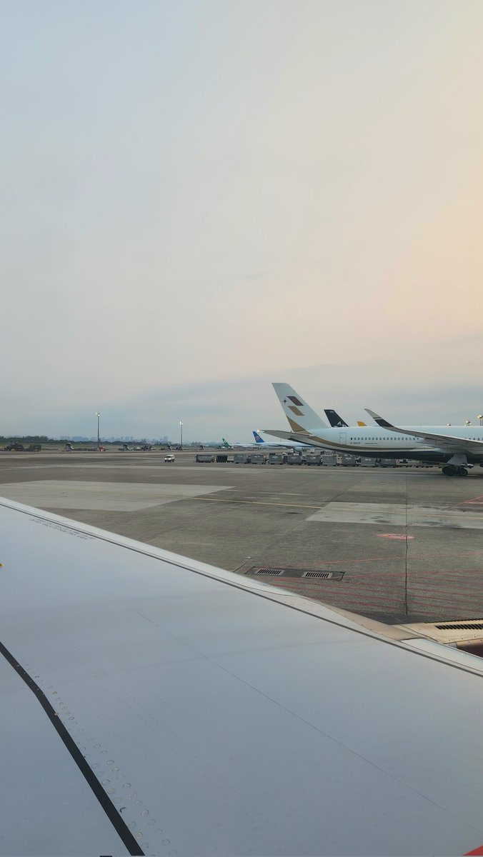 木彫りのぽっぽ🪵ぽっぽの木彫り屋さん tweet media