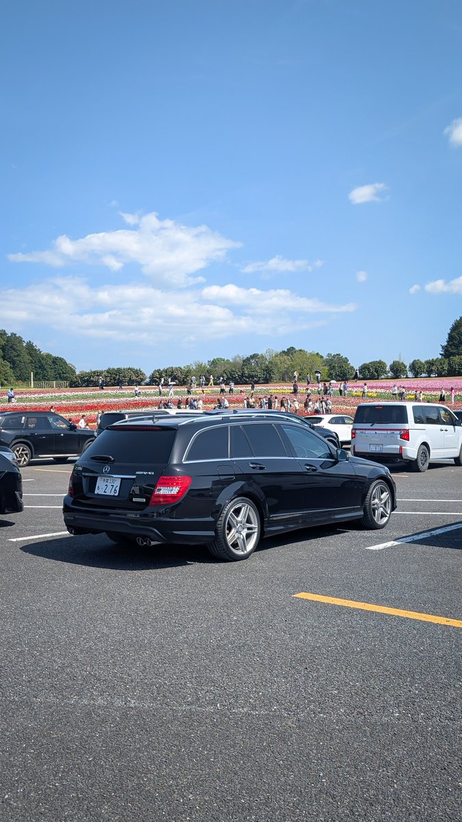 ツバサ tweet media