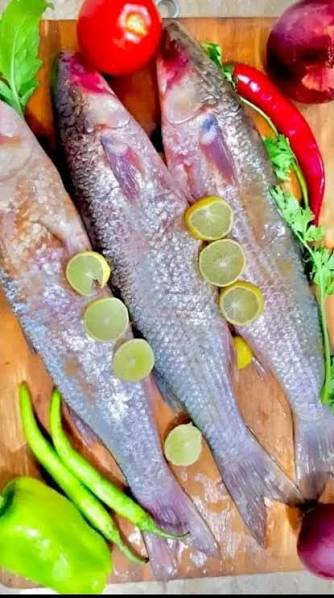 ♞ 𝘼𝙪𝙜𝙪𝙨𝙩𝙚♞ tweet media