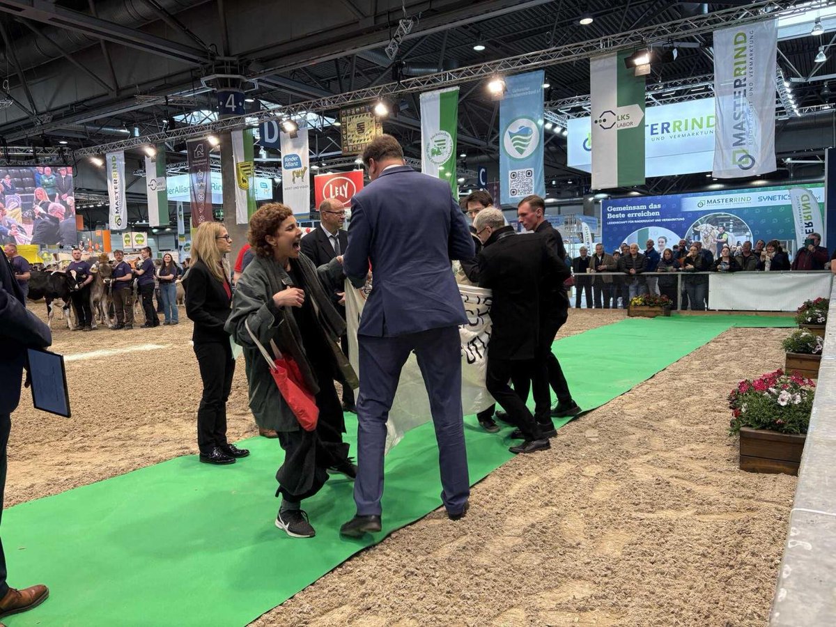 A_Girl_Insane 🐑🥕🚜 tweet media