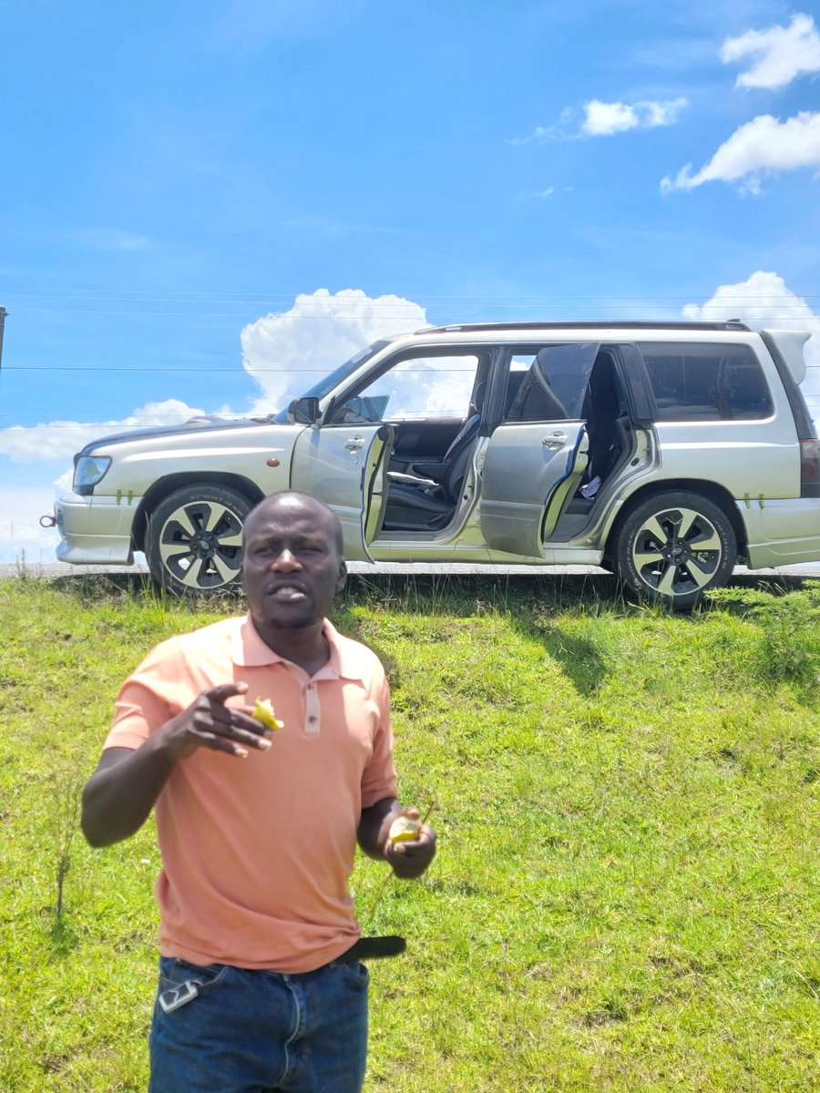 Nyaburi 🐝 tweet media