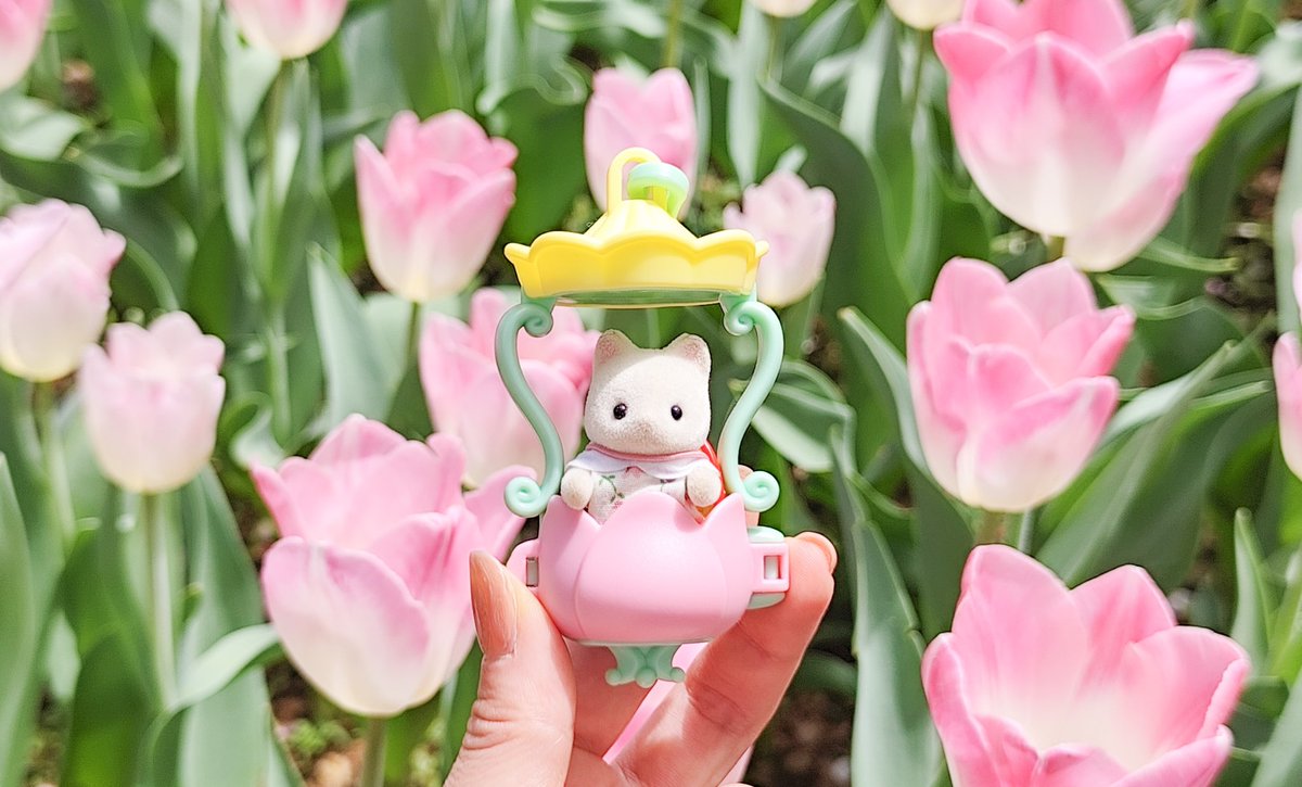 ほづみ tweet media