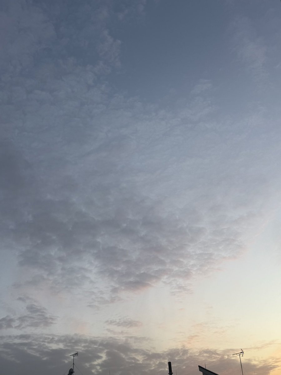 ①昼間の ハナミズキと青空
②~④  17:50~18:18 の空
②右下に飛行機雲います

月曜日お疲れ様です(*´︶｀)ﾉ♪

 #夕焼け空
 #SoLove