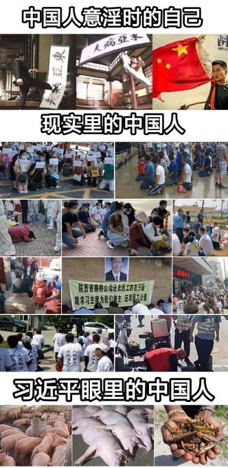 Vltalm tweet media
