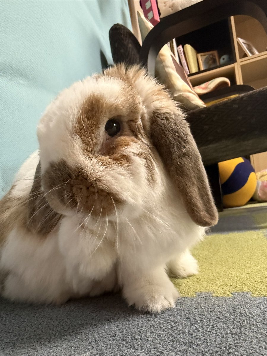 seri♀💜 tweet media