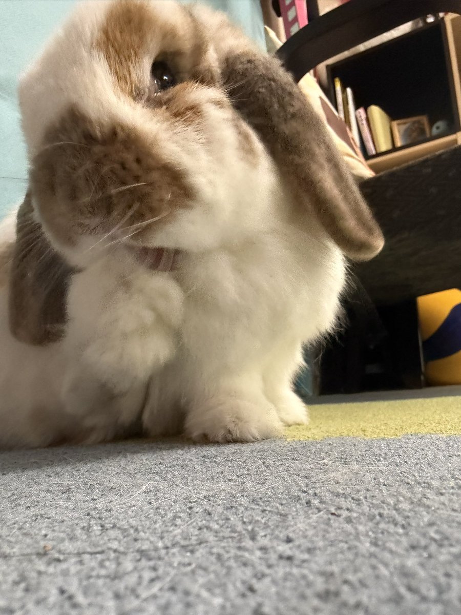 seri♀💜 tweet media