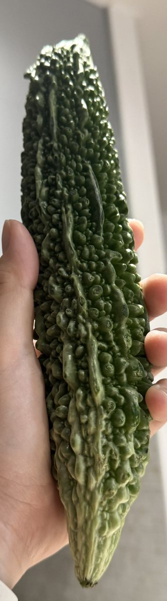 エクセﾉﾚ tweet media