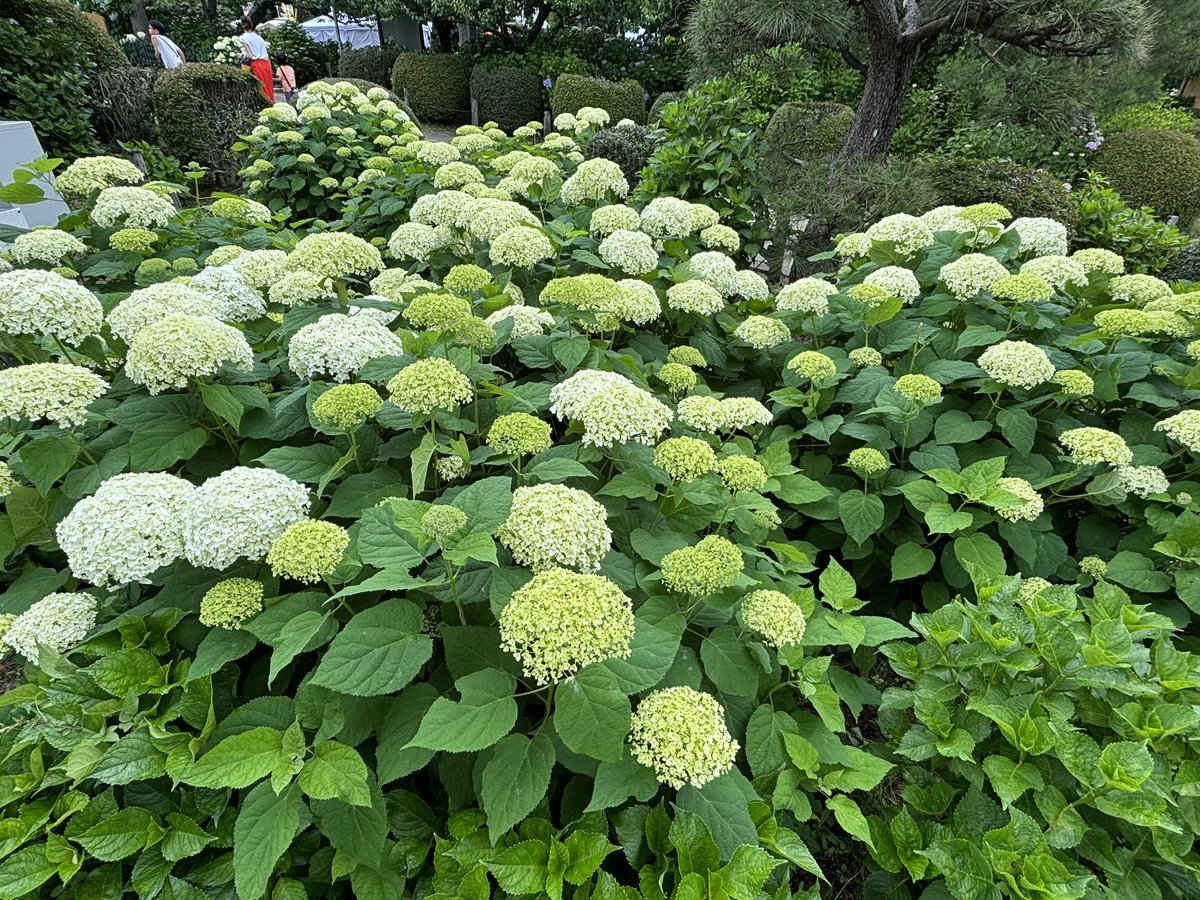 オッツー🚩 tweet media