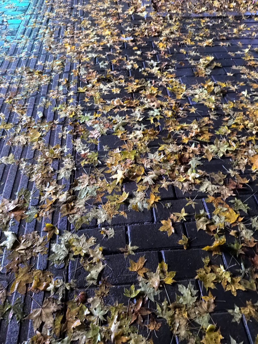 NajiB ZaRaZiR tweet media