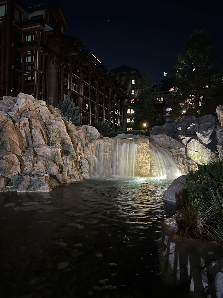 Bob Dankese tweet media