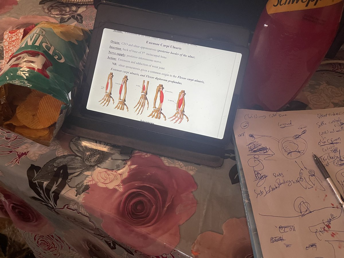 E.coli 🦠 tweet media