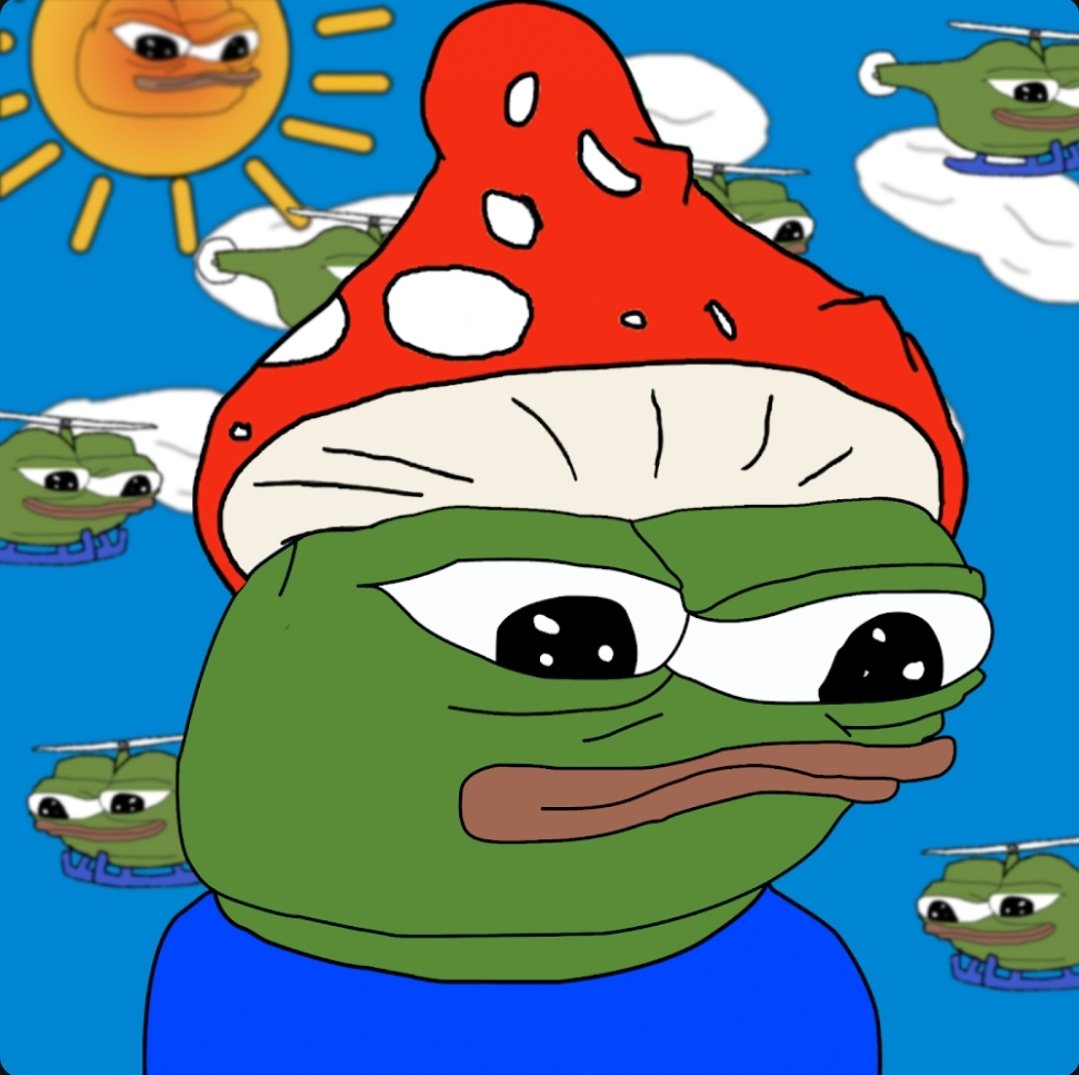 LFGOOO 🐸🌞 tweet media