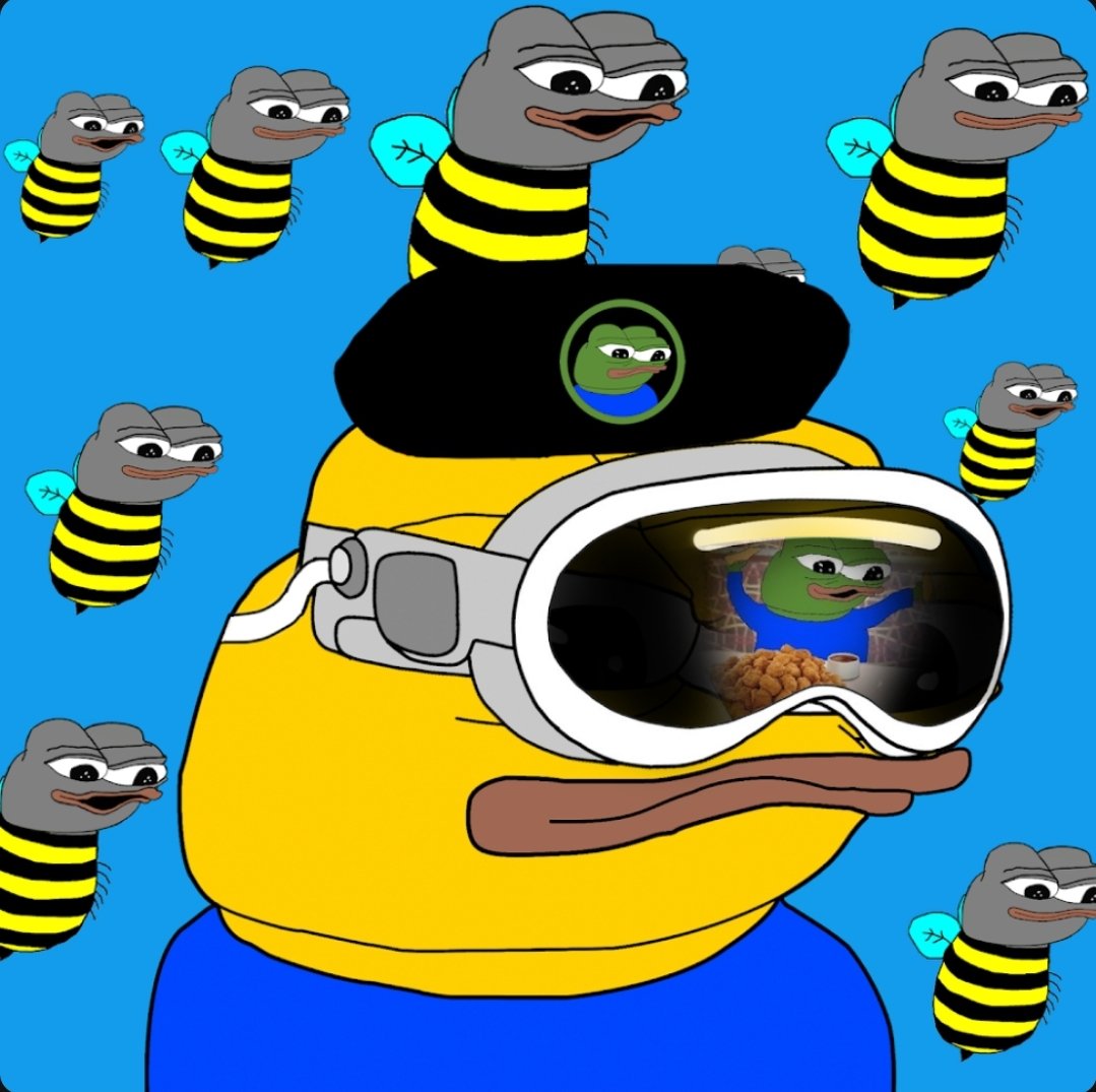 LFGOOO 🐸🌞 tweet media