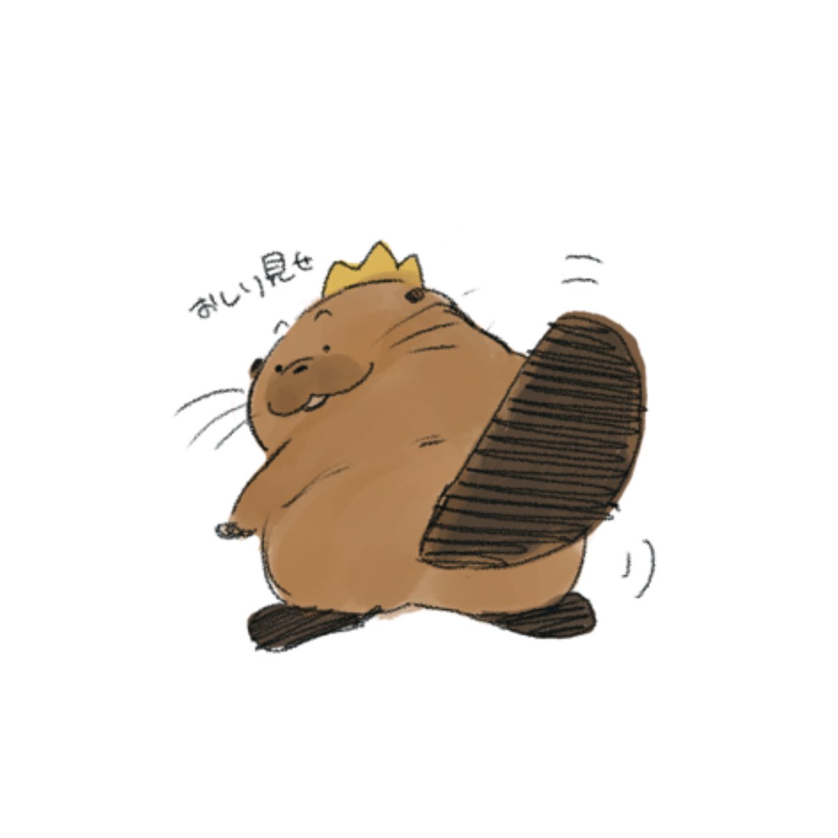 さばた❕ tweet media