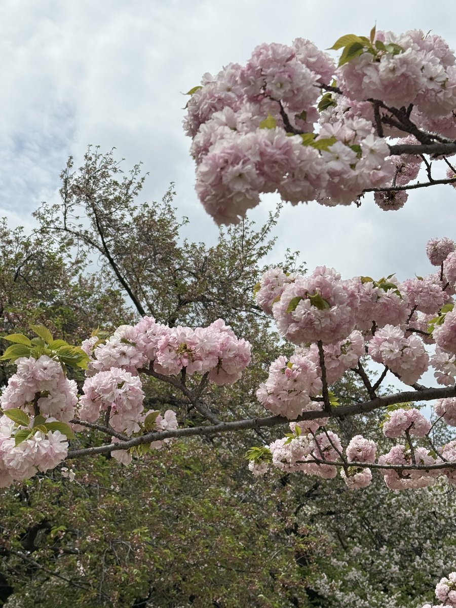 ABA-U🧸 tweet media