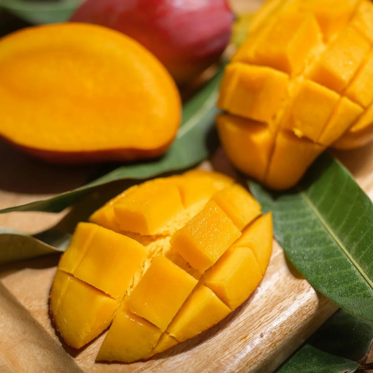 The Page Z tweet media