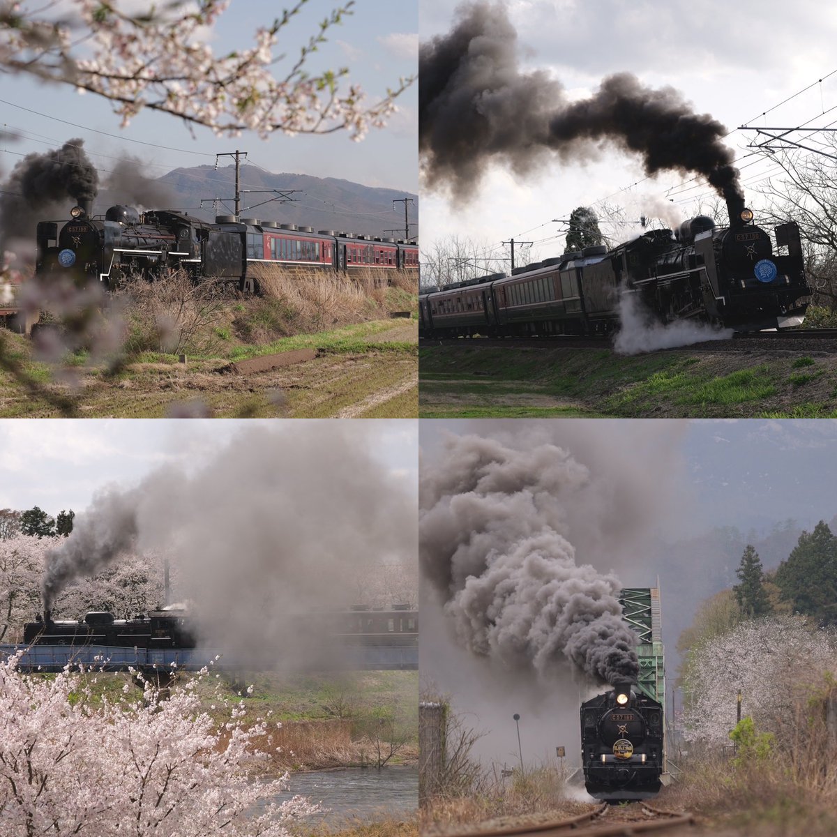 hideaway5551's tweet photo. 【2026シーズン初運行！】桜満開「ばんえつ物語＆しあわせの風ふくしま」 JR EAST steam locomotive C57-180 in Banetsu-West-line 2026.4.11
https://t.co/xfqa0VKmtG

#SLばんえつ物語　#SLしあわせの風ふくしま #c57180 #c57 #ファーストラン　#桜 https://t.co/w6CFEUuBK3