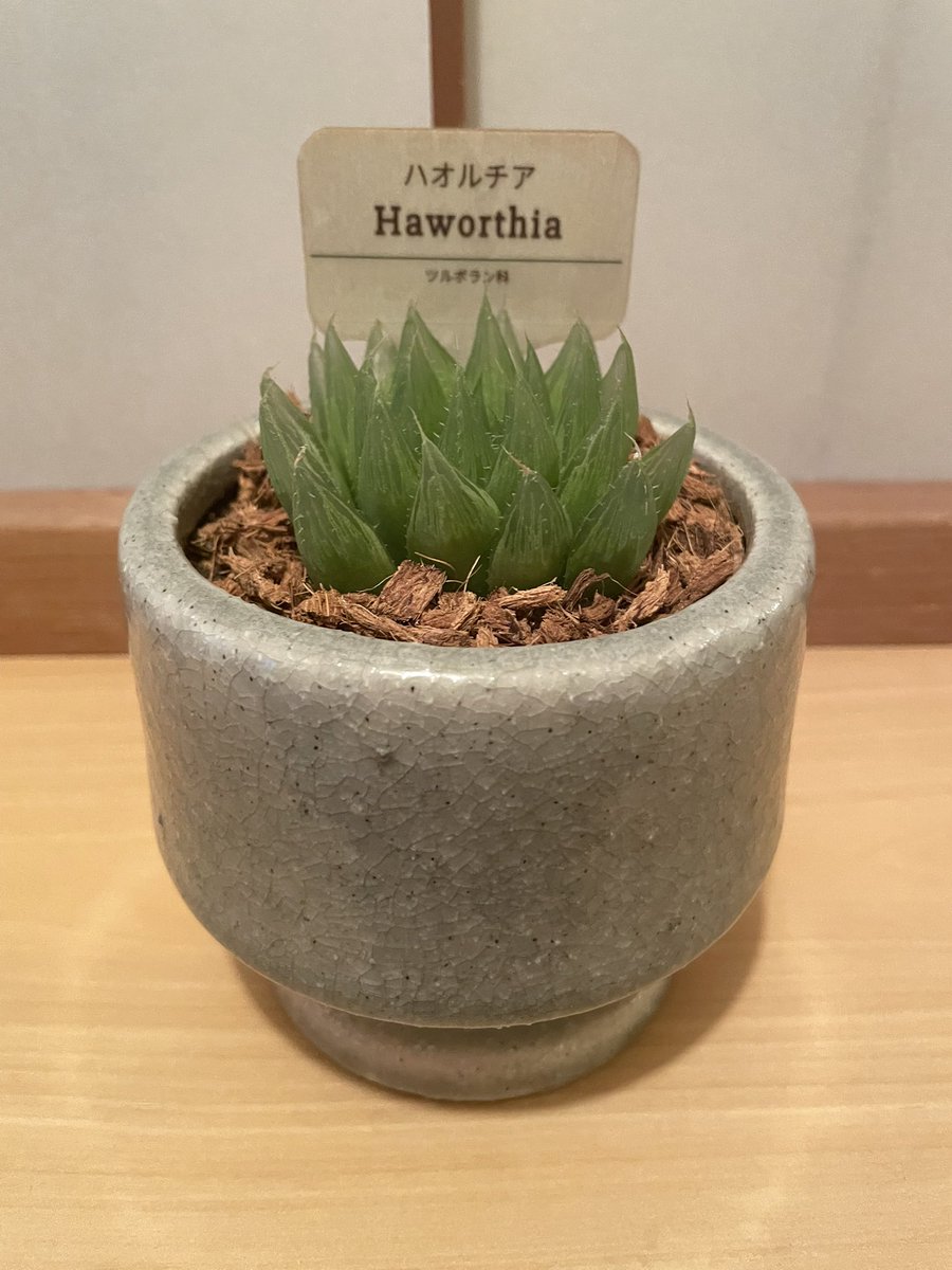 🏆ぶち子の日常垢🏆 tweet media