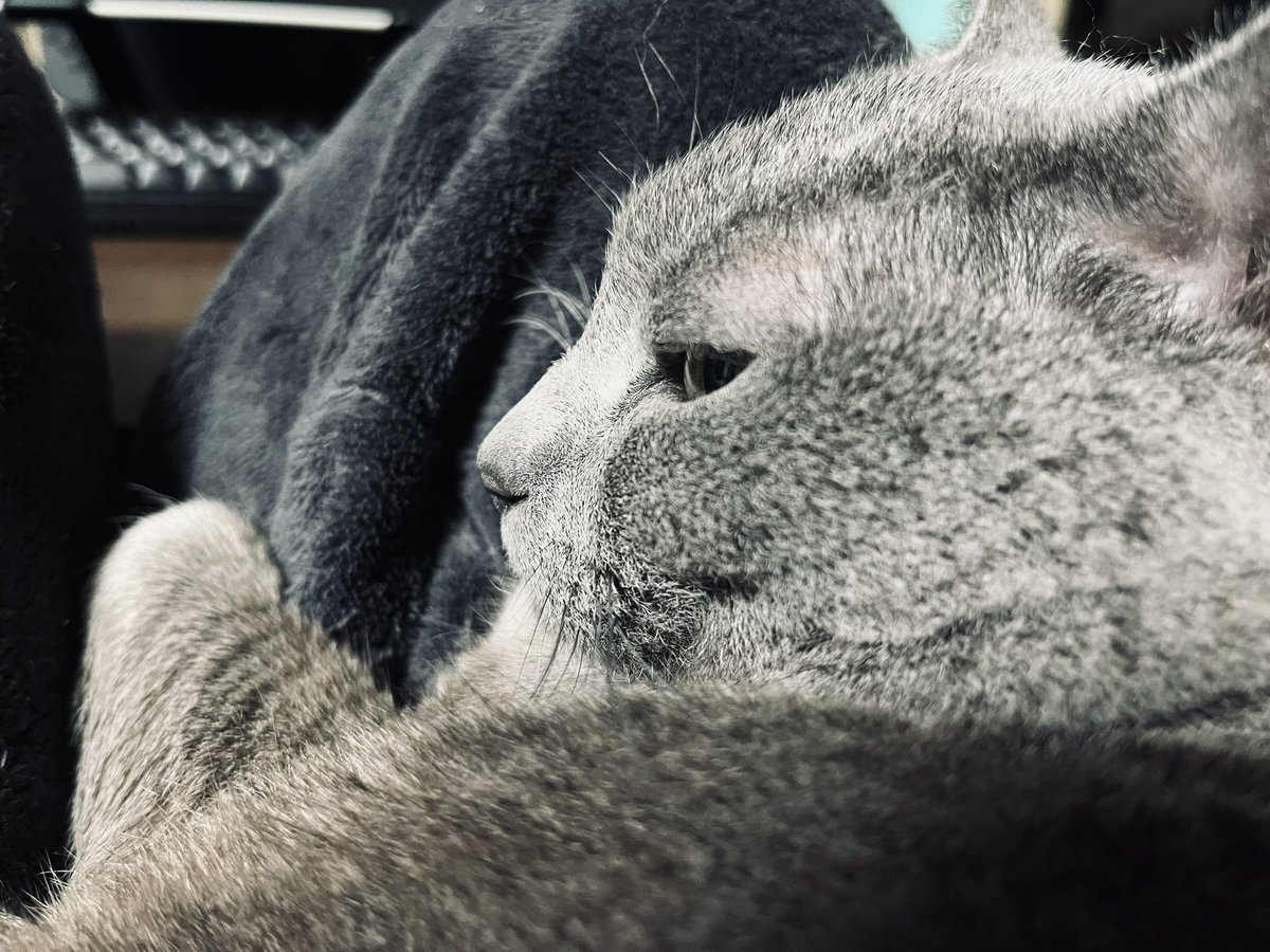 ᴍᴀsʜɪᴋɪ tweet media