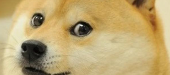 久遠遠017 🦊 Twitch活動🎞️菜菜剪輯師 tweet media