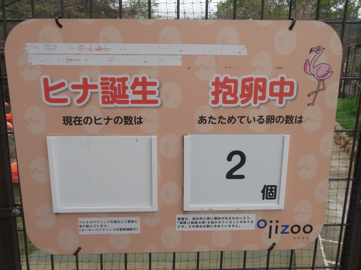 すずめ奉行 tweet media