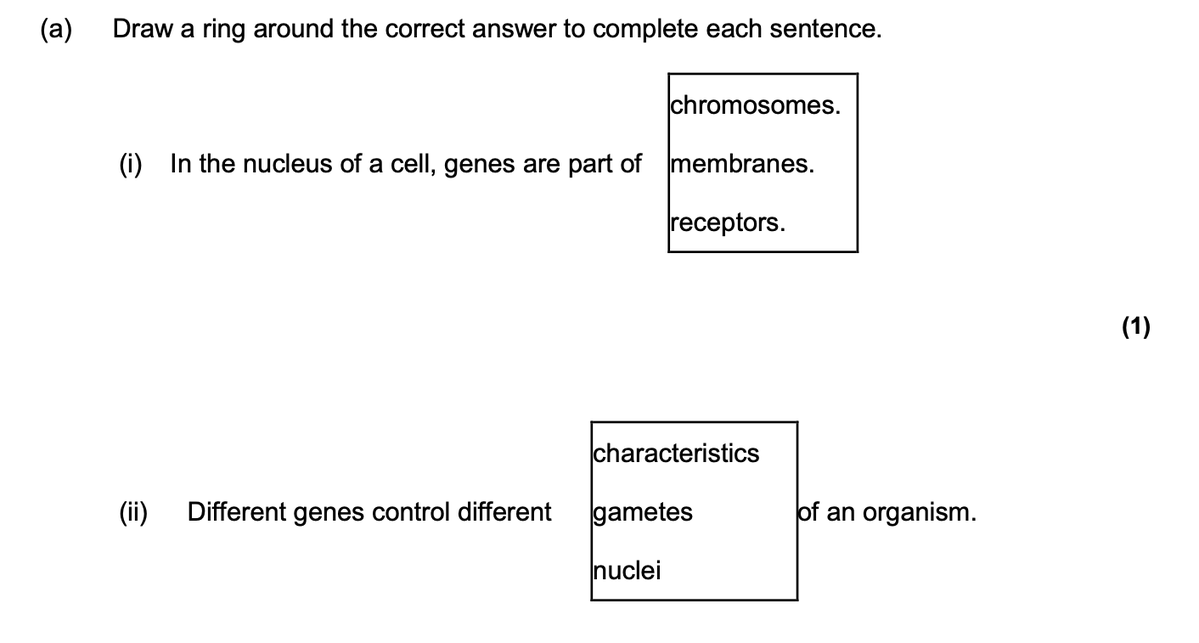 StudyHour Labs tweet media