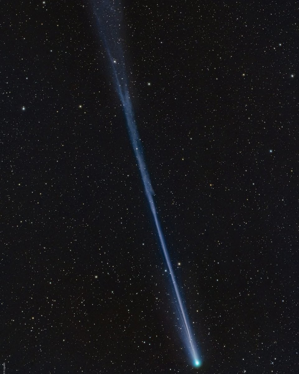 Con Stoitsis tweet media